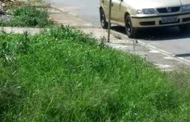 Imagem 3: Terreno em Araucária 403m2