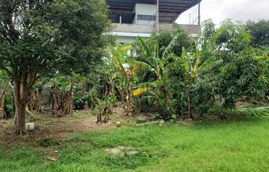 Imagem 9: Terreno à venda em Campinas, Parque dos Cisnes, com 1030 m²