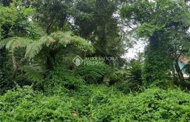 Imagem 4: TERRENO NO BAIRRO ALPES VERDES EM CANELA