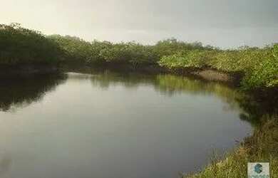 Imagem: A fazenda possui 1.410.000m² de Área e está localizado em