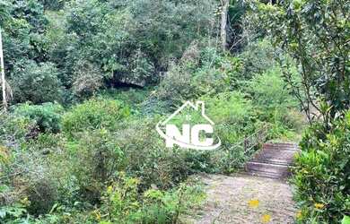 Imagem 6: Sítio com 136.000m2 e 2 casas à venda, por R$ 600.000 - Duas Barras/RJ