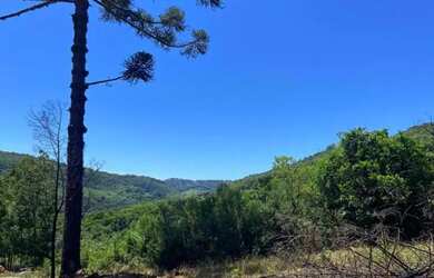 Imagem 8: Sitio - Bairro Linha Ávila