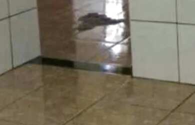 Imagem 5: Vendo casa na cidade nova