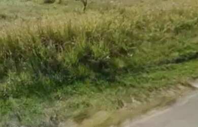 Imagem 6: Imóvel para venda com 742 metros quadrados em Vilatur - Saquarema - RJ