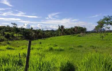 Imagem 3: Vendo ou troco por casa ou terreno em boa vista
