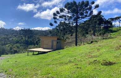 Imagem 13: Urubici- Chácara. 20.000m² de Área