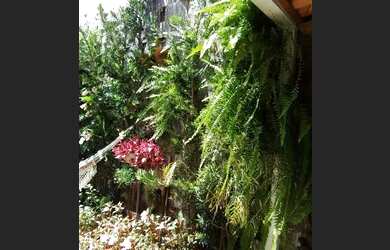 Imagem 8: Casa de condomínio em Cotia - venda por R$ 790.000 ou aluguel por R$...