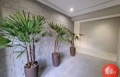 Imagem 2: São Paulo - Apartamento Padrão - Mooca