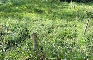 Imagem 12: Vendo lote em Betim ótimo preço