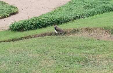 Imagem 16: EMBU-GUAÇU Condomínio Reserva da Fazenda Terreno com 1.209m²
