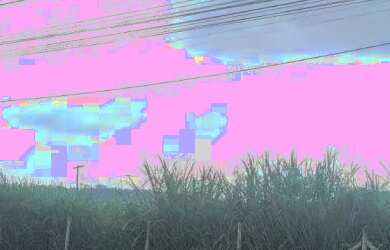 Imagem 9: AREA - PORTÃO - SP. 94.000m² de Área