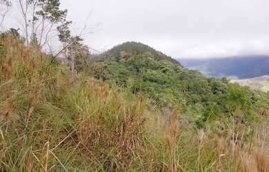 Imagem: A fazenda possui 1m² de Área e está localizado em Adrianópolis
