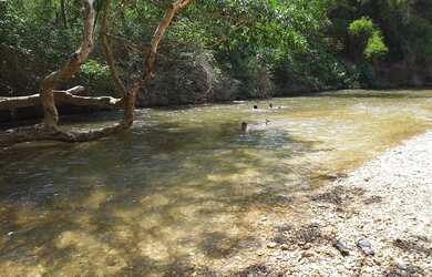 Imagem: O terreno possui 247m² de Área e está localizado em Coophamil