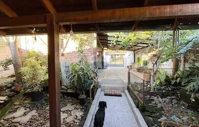 Imagem 3: Casa Aconchegante em Santa Cruz do Sul à Venda