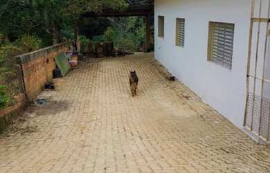 Imagem: A fazenda possui 800m² de Área e está localizado em Mairinque