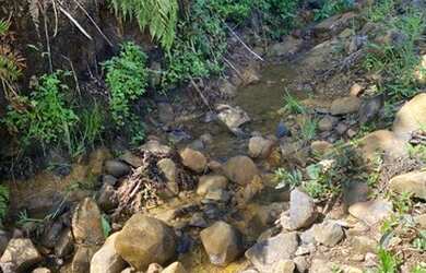 Imagem 6: Urubici- Chácara. 20.000m² de Área