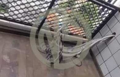 Imagem 2: Apartamento para alugar em São Paulo/SP