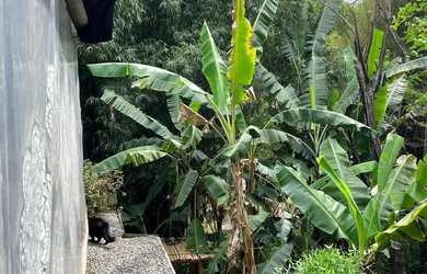 Imagem 15: Linda pousada para venda em São Lourenço MG