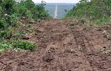 Imagem: A fazenda possui 8.000m² de Área e está localizado em Progresso