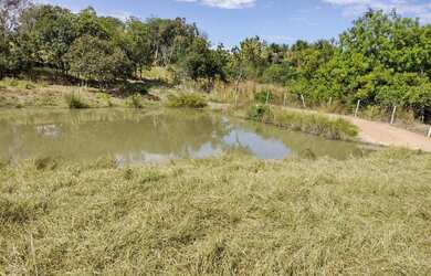 Imagem 7: Fazenda/Sítio/Chácara para venda possui 135 metros quadrados em Setor...
