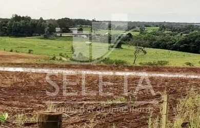 Imagem 7: Sítio em Santa Tereza do Oestes 15 alq Plantio de Soja Produção de 8.000 mil Lt Leite mês