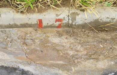 Imagem 1: Terreno para venda em Franca Residencial telline teline telini tellini