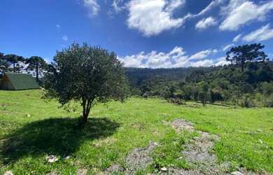 Imagem 3: Urubici- Chácara. 20.000m² de Área