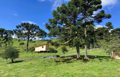 Imagem 16: Urubici- Chácara. 20.000m² de Área