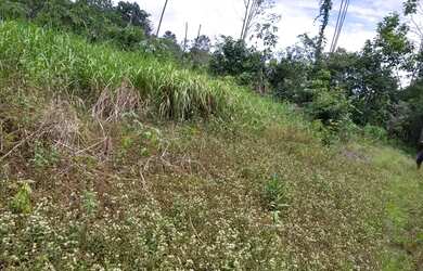 Imagem 4: Vende-se terreno. 500.000m² de Área