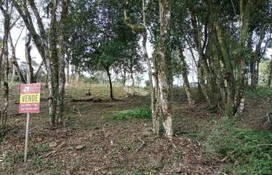 Imagem: O terreno possui 813m² de Área e está localizado em Nova