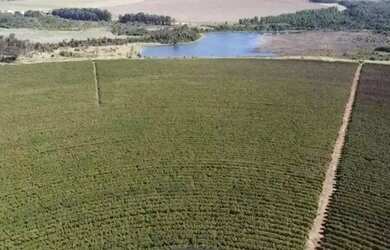 Imagem 14: Fazenda à venda, 10 quartos, 1 suíte, Área Rural de Unaí - Unaí/MG