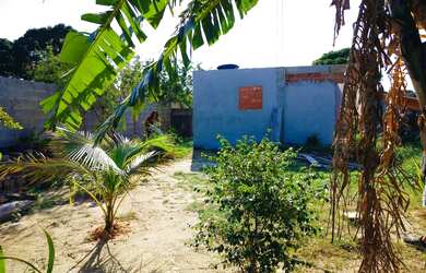 Imagem 2: Vendo lindo terreno todo murado de tijolo de bloco com frutas e com pequena...