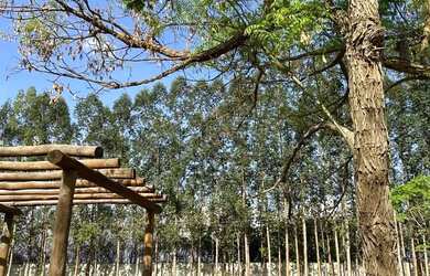 Imagem: O terreno possui 2.467m² de Área e está localizado em Bela