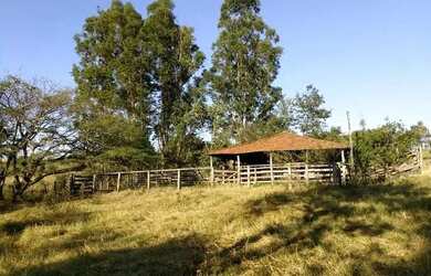 Imagem: A fazenda possui 586m² de Área e está localizado em Santa