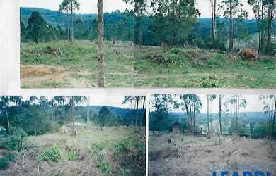 Imagem 7: AREA - INVERNADA - SP. 1.551m² de Área