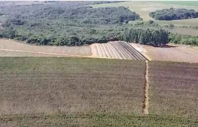 Imagem 4: Fazenda à venda, 10 quartos, 1 suíte, Área Rural de Unaí - Unaí/MG