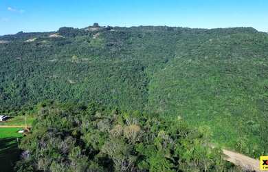 Imagem 2: Sítio / Chácara para Venda em Nova Petrópolis, Pinhal Alto