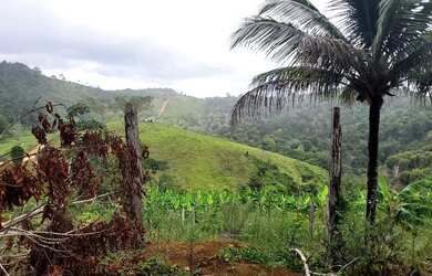 Imagem 5: Vendo maravilhosa fazenda no município de itiuba