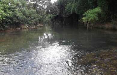 Imagem 5: Linda fazendinha de 5,6 hectares as margens do Rio WhtsAAP Guilherme