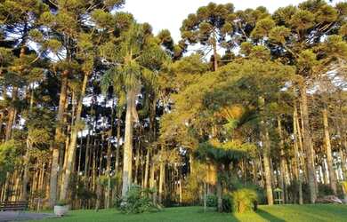 Imagem 4: Terreno com 1.022,42m² em Piraquara - Condomínio Residencial Betaville