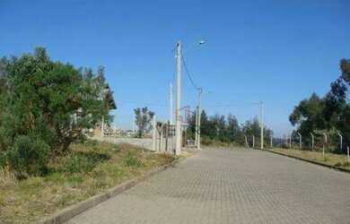 Imagem 8: Terreno à Venda em Canela, no Vista do Vale