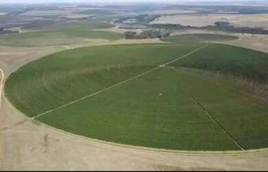 Imagem: A fazenda possui 10000000m² de Área e está localizado em