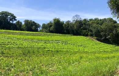 Imagem: Terreno em Ibiúna, 18min do centro