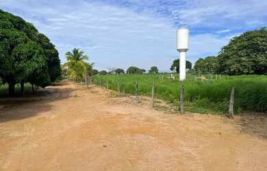 Imagem 4: FAZENDA EM BURITIZEIRO MG NA BEIRA DO RIO SÃO FRANCISCO FORMADA E COM...