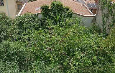 Imagem 13: Imovel de Alto Valor para Investir