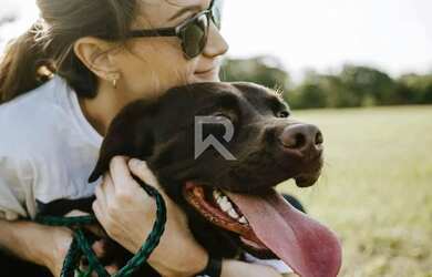 Imagem 11: Terreno com Vista Livre à Venda, 182,64 m² Condomínio Paysage Corpal...