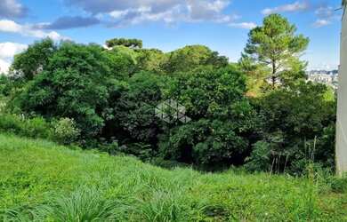 Imagem 2: Dois terrenos lado a lado com 720m2 no Vila Horn, Caxias do Sul