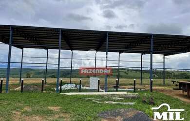 Imagem 5: Fazenda 90 Alqueires 440 Hectares Caiaponia - GO