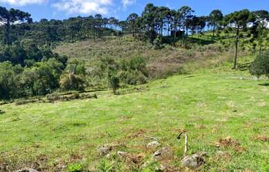 Imagem 5: Urubici- Chácara. 20.000m² de Área