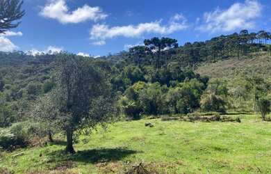 Imagem 12: Urubici- Chácara. 20.000m² de Área